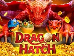 Dragon Hatch